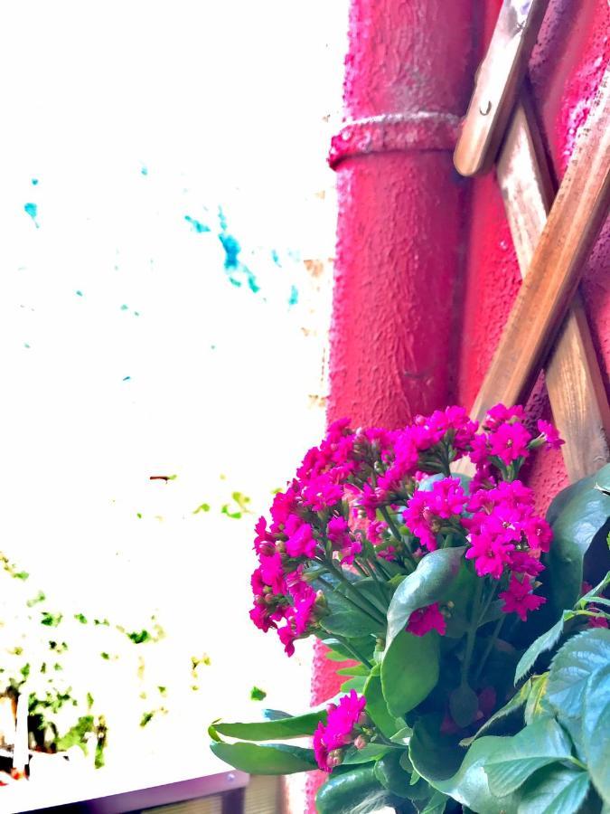 Sweet Pink By Miro Apartment Σινάια Εξωτερικό φωτογραφία