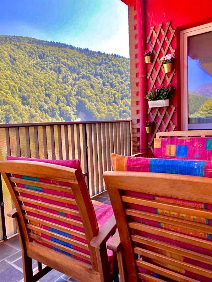 Sweet Pink By Miro Apartment Σινάια Εξωτερικό φωτογραφία